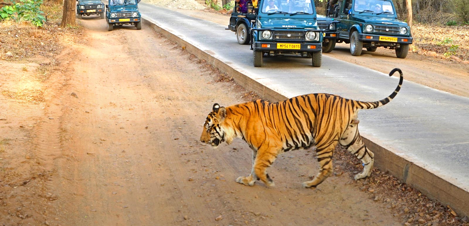 <span> Day 3 </span>Delhi - Bandhavgarh Tiger Reserve