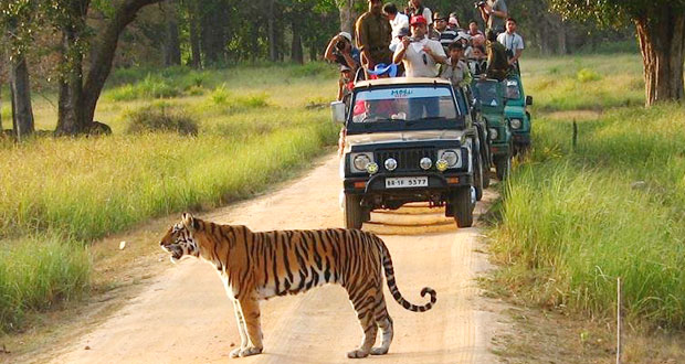 Tiger Tour with Khajuraho Package