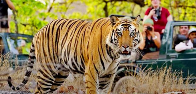Rajasthan Special Wildlife Tour Package